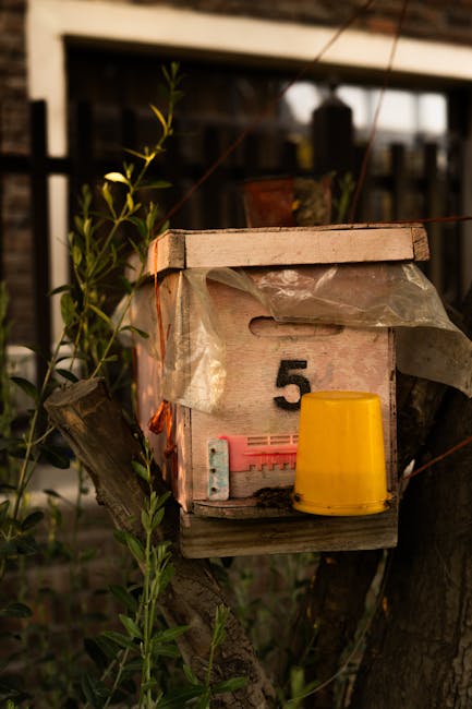 Photography equipment and creative workspace overview