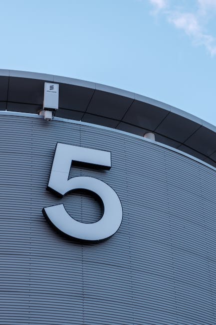 Organized camera bag with lenses and accessories
